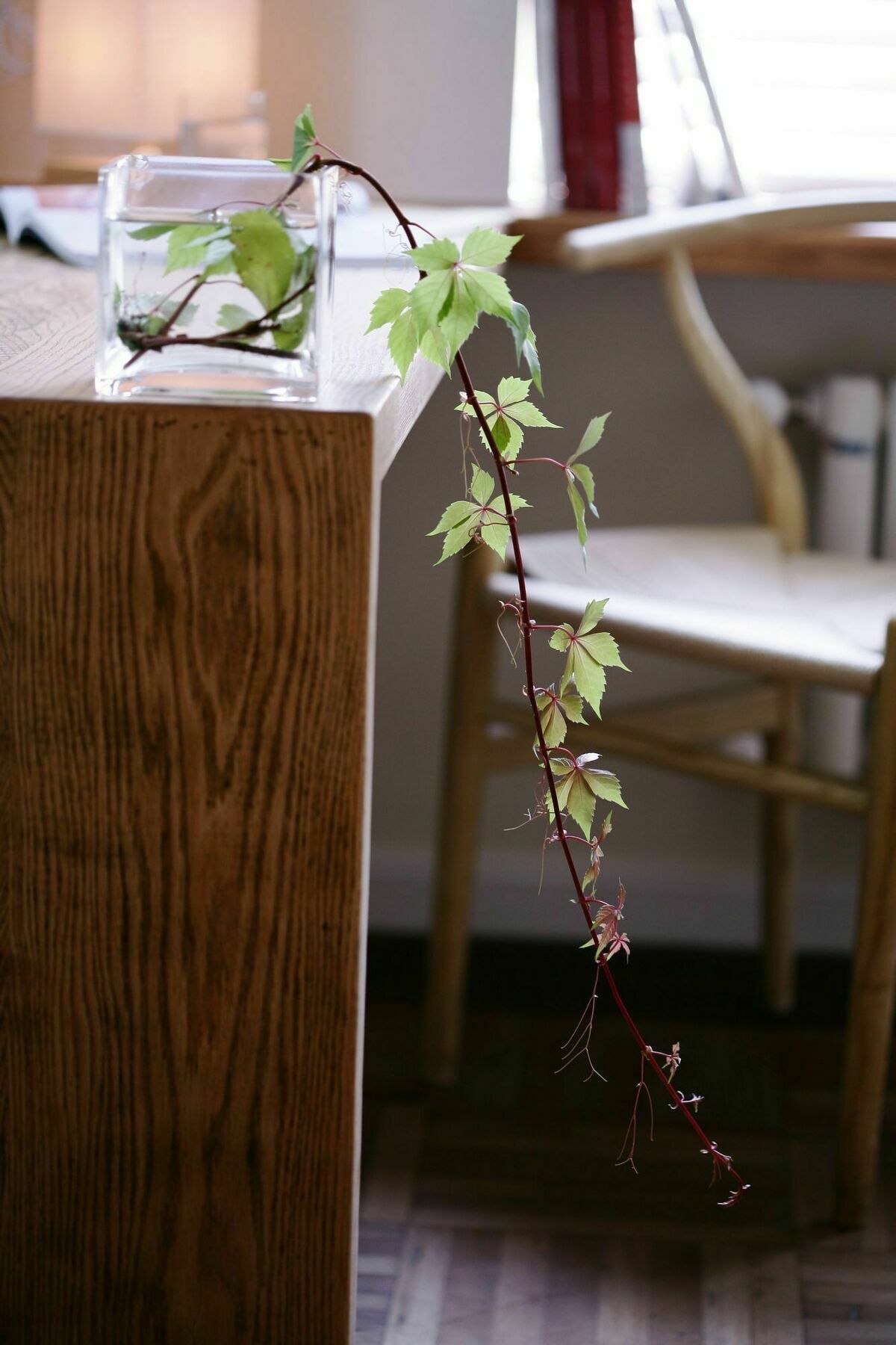 Wonderland French Concession Wukang Road Apartemen Shanghai