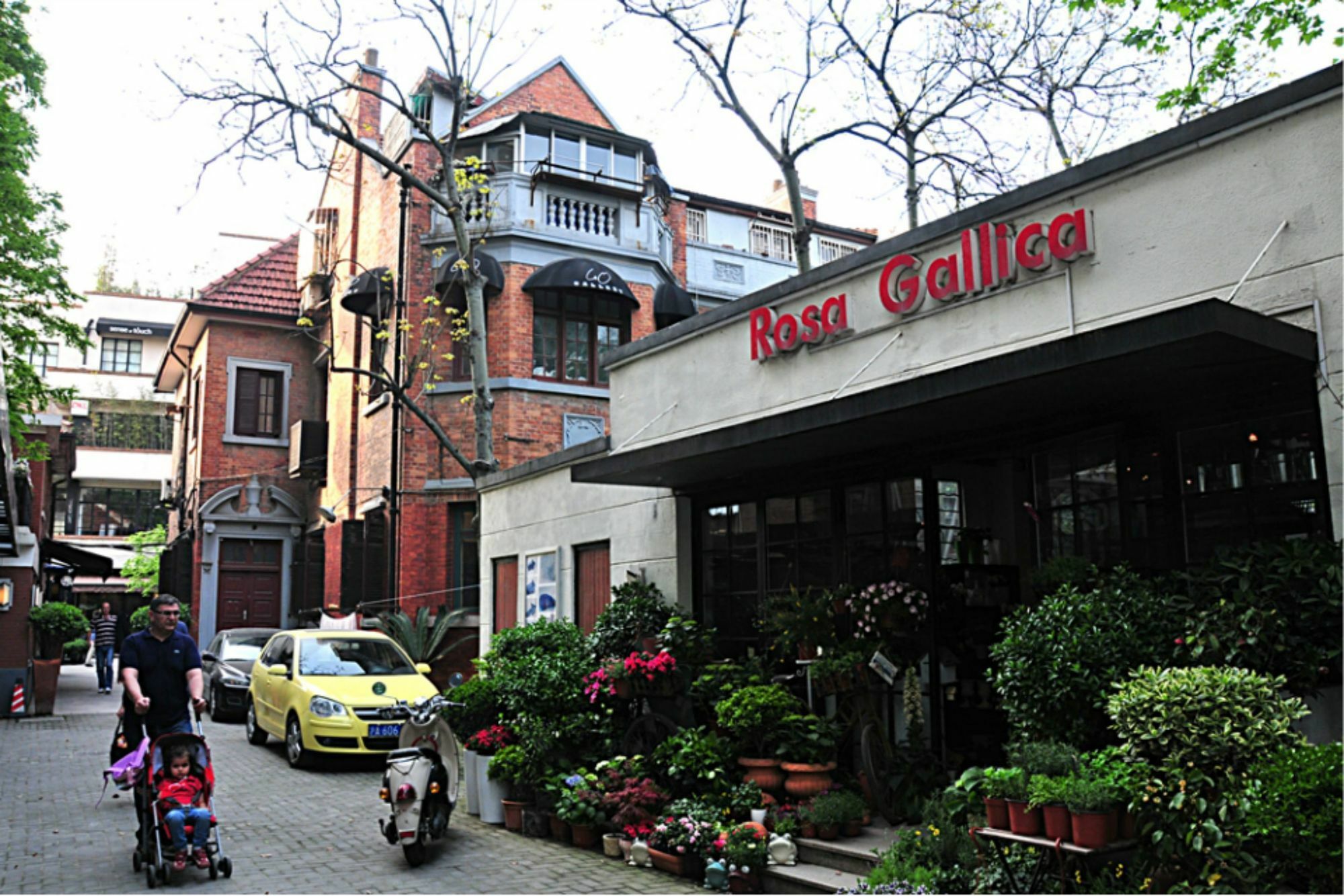 Wonderland French Concession Wukang Road Xangai