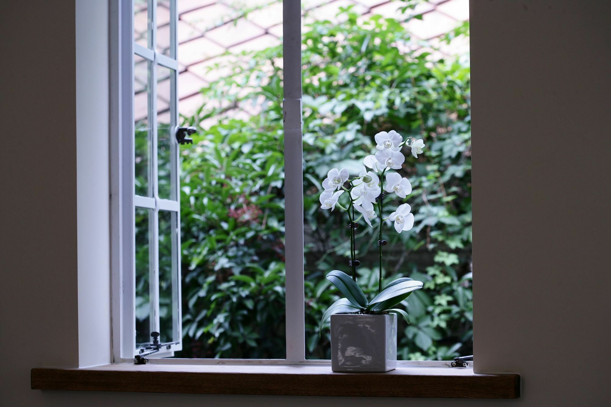 Wonderland French Concession Wukang Road Apartamento *
